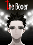 The_Boxer